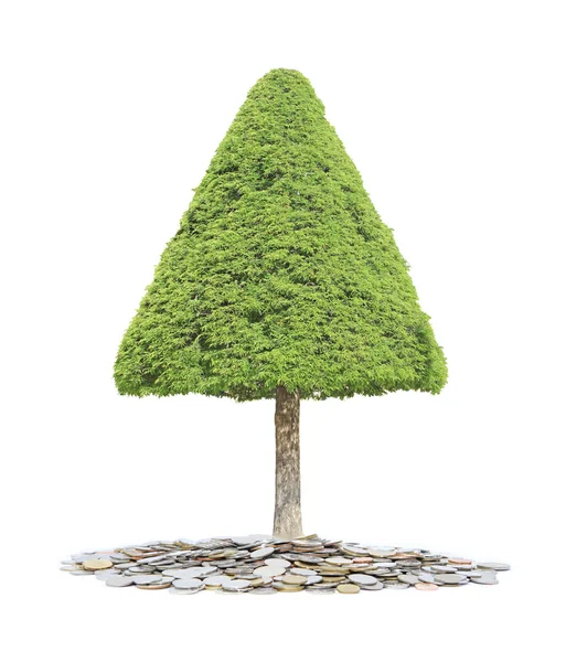 Gröna träd växer från hög med mynt som en symbol för investeringar — Stockfoto