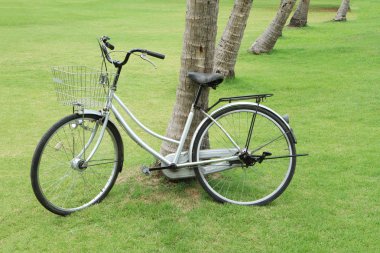 Bisiklet ağaca yaslanıyor.