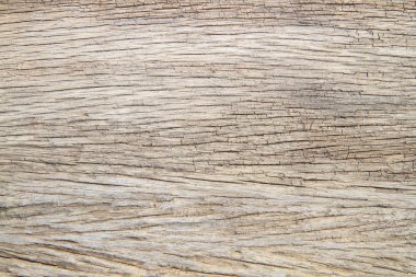 Doğal ahşap doku veya arka plan