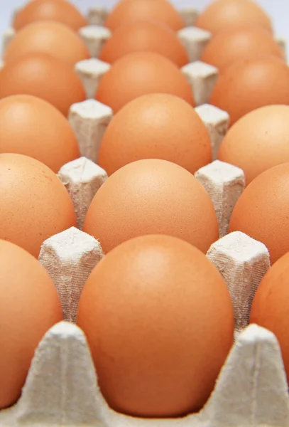 Яйця в паперовій тарі — стокове фото