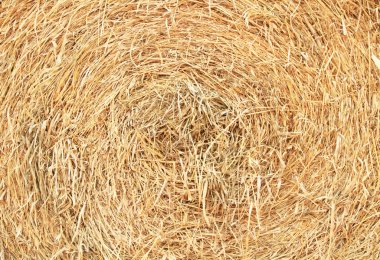 Yuvarlak saman balya yakın çekim
