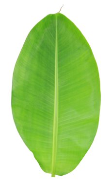 Beyaz arkaplanda muz yaprağı izole