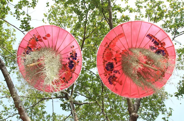 Färgglada paraply hänger på trädet i trädgården — Stockfoto