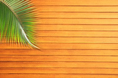 Doğal ahşap arka plan gölge ile Hindistan cevizi yaprağı