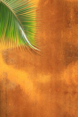 Hindistan cevizi yaprağı ile gölge paslı demir plaka üzerinde