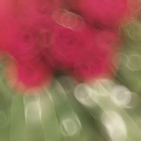 Fleurs vintage noël fond coloré bokeh flou retour — Photo