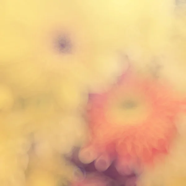 Ρετρό λουλούδια παστέλ πολύχρωμο φόντο bokeh θολά φώτα — Φωτογραφία Αρχείου
