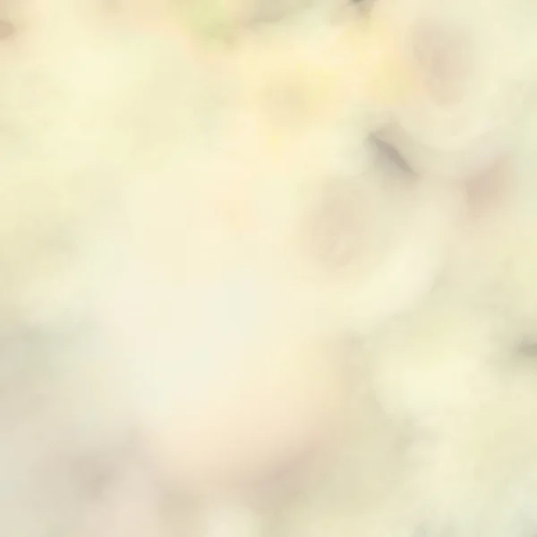 ビンテージ花パステル調のカラフルな背景のボケ味がぼやけてライト — ストック写真
