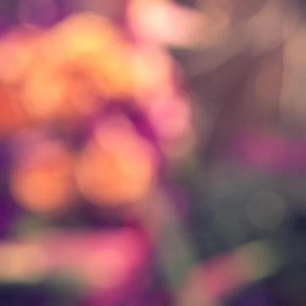 Blurred background — Stock Photo, Image