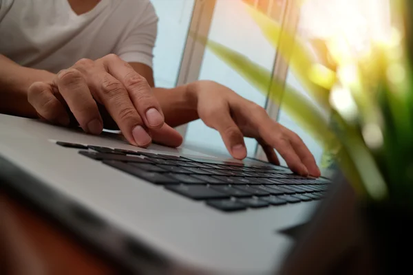 designer hand working with laptop computer with green plant fore