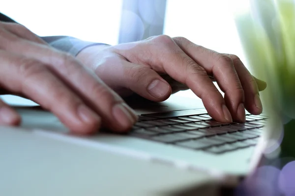 Designer hand working laptop with green plant foreground on wood — Stock Photo, Image