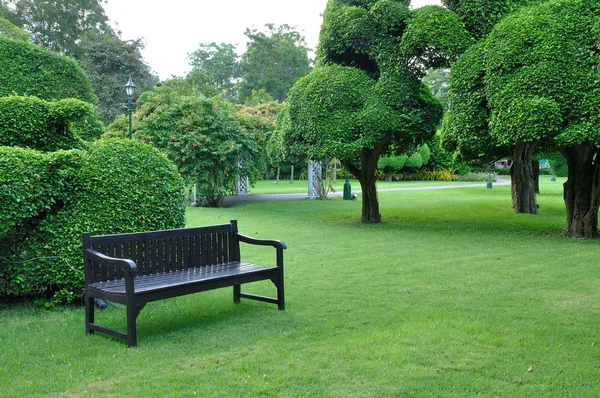 Banco marrón en jardín verde — Foto de Stock