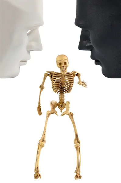 Skeleton bone standing action — Stock Photo, Image