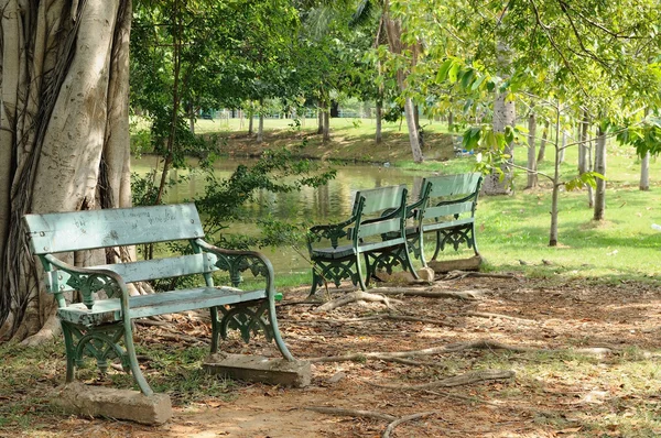 大花园里的长椅 供人休息 — 图库照片
