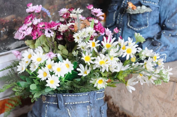 Weiße und lila Margeritenblüten — Stockfoto
