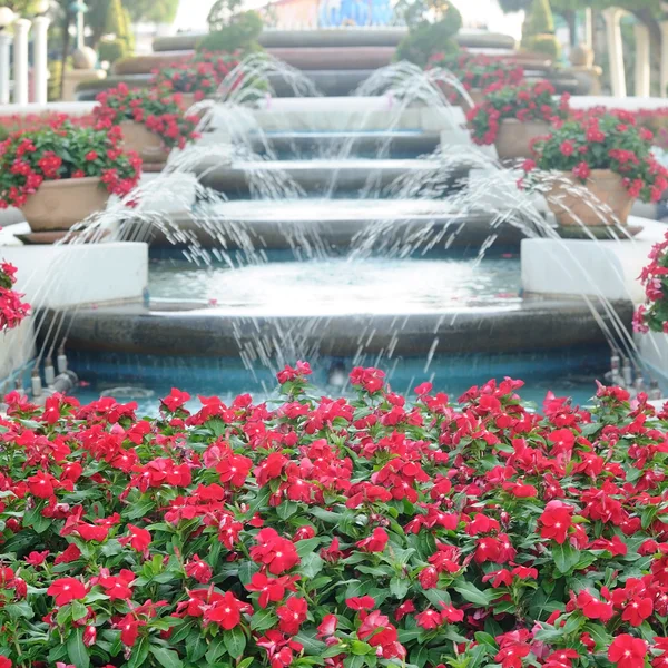 Flowers with beautiful fountain — Stock Photo, Image