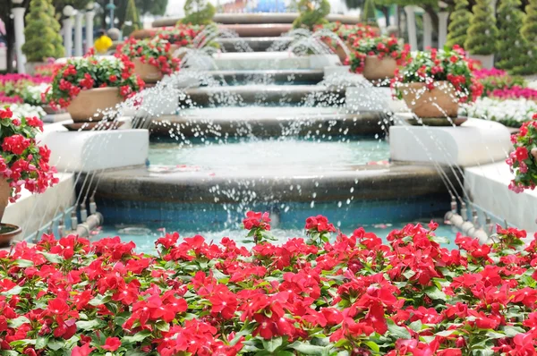 Flowers with beautiful fountain — Stock Photo, Image