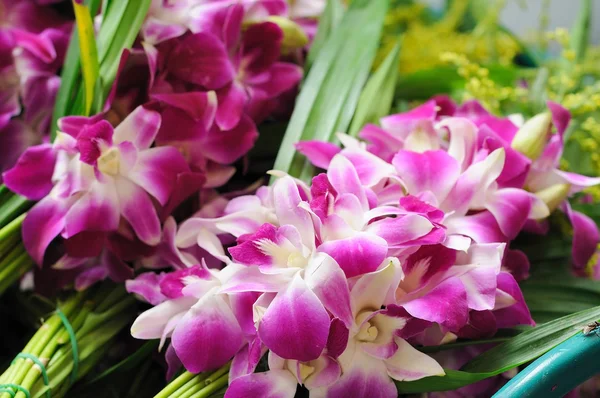 Orkidé garland säljes Royaltyfria Stockbilder