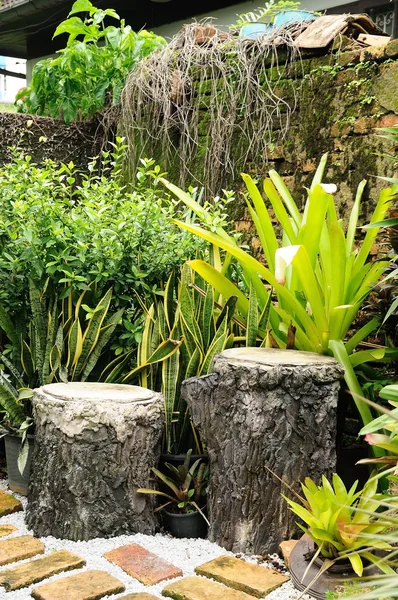 Doble Árbol Tocones Asiento Jardín Diseño Jardinería —  Fotos de Stock