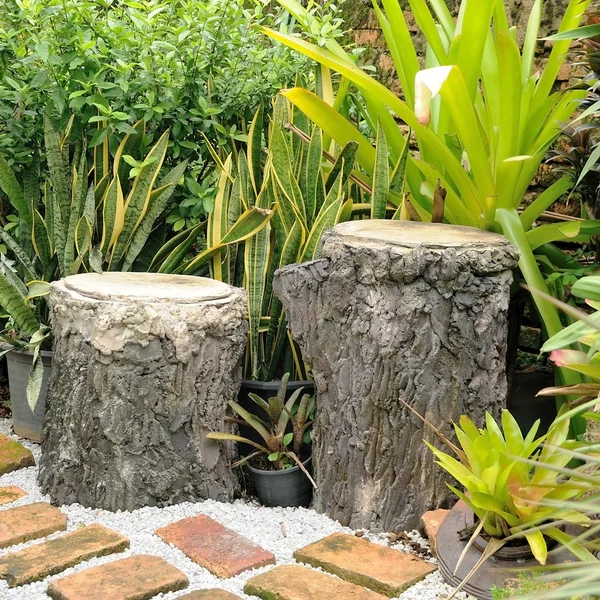 Siège Double Souches Arbre Dans Jardin Conception Jardin — Photo