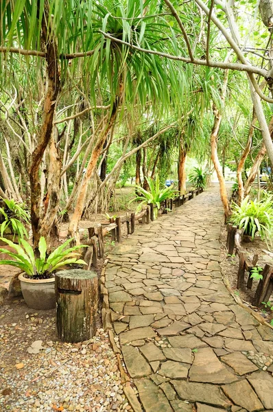 Mangrove Traseu Natural Provincia Chantaburi Thailanda — Fotografie, imagine de stoc