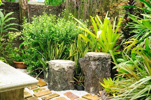 Double Tree Stumps Seat Garden Gardening Design — Stock Photo, Image