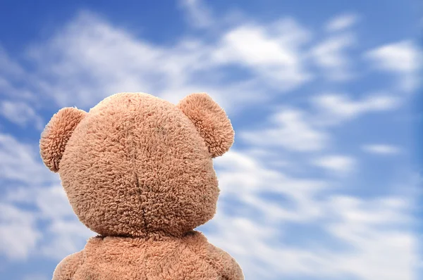 Teddy Bear Tillbaka Med Blå Himmel — Stockfoto