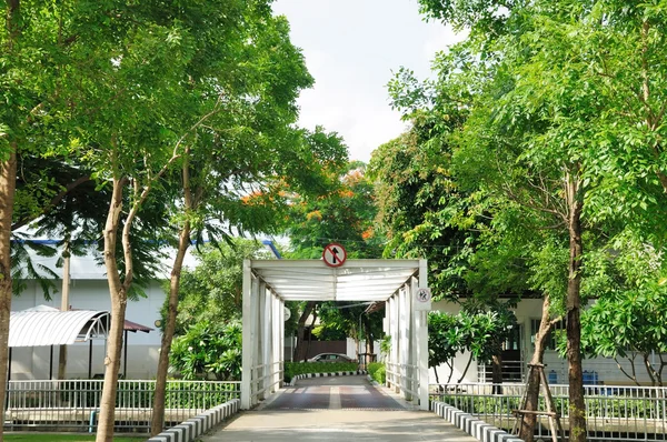 Ijzer Tunnel Brug Steek Rivier Met Veel Bomen — Stockfoto