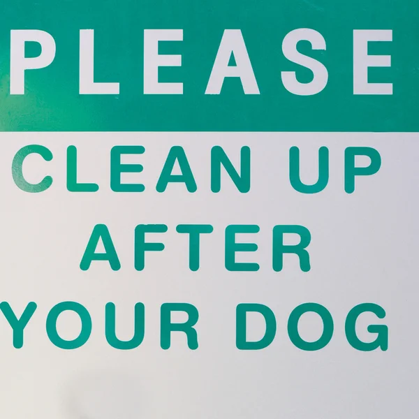 Clean up after your pets — Stock Photo, Image