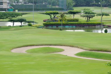 Golf alanı