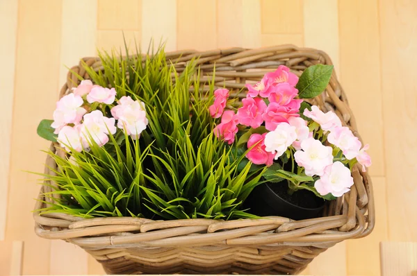 Beautiful flower in rattan basket — Stock Photo, Image