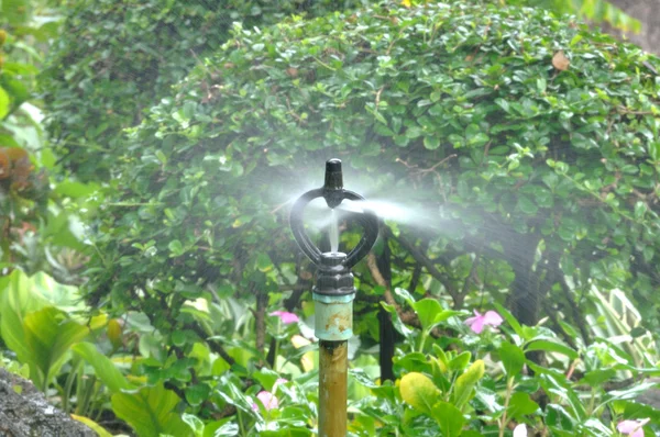 自动喷水灭火喷洒在公共的花朵 — 图库照片