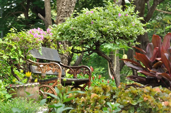 Красивая скамейка и цветы — стоковое фото