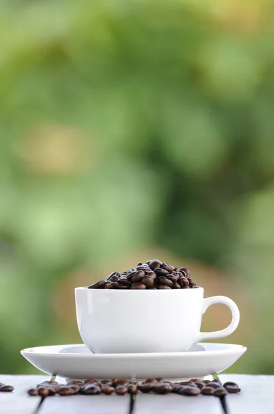 Kaffe frön med vit kopp — Stockfoto