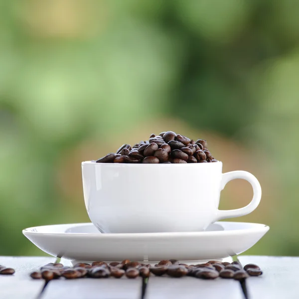 Kaffe frön med vit kopp — Stockfoto