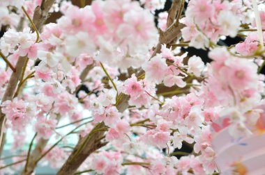 Pembe Tay sakura, yapay çiçekler. 