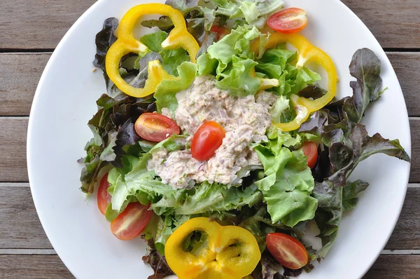 Салат из тунца с большим количеством овощей — стоковое фото