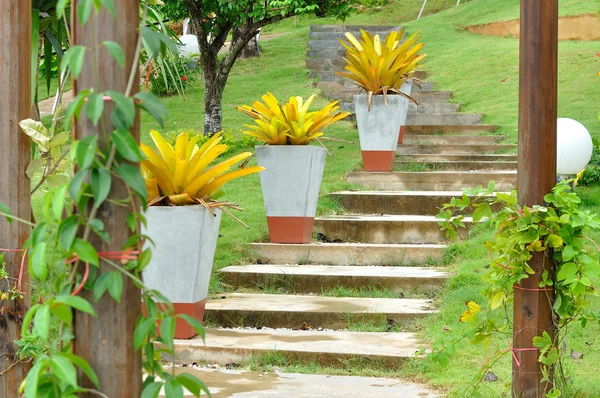 Escalier en pierre et grands pots de fleurs — Photo