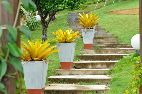 Escada de pedra e vasos de flores grandes — Fotografia de Stock