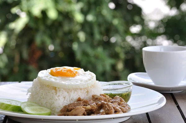 Garlic pork with jasmine rice — Stock Photo, Image