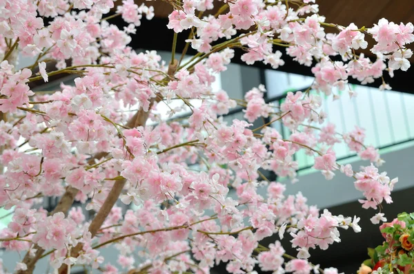 Sakura rosa tailandesa, flores artificiales . — Foto de Stock