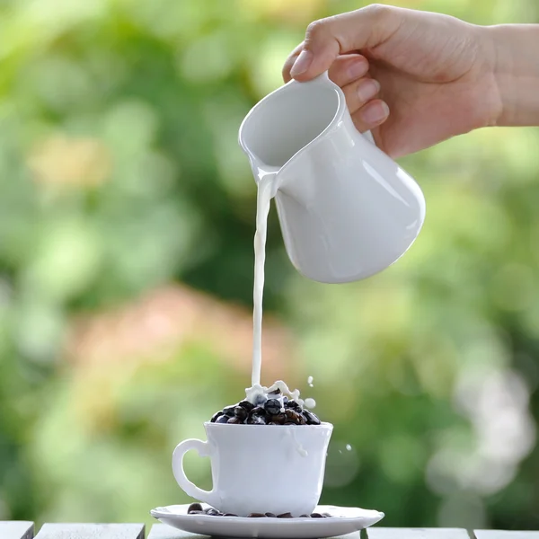 Coffee seed in white cup — Stock Photo, Image