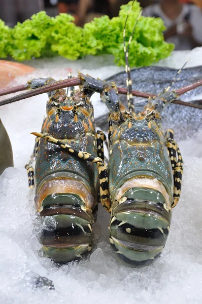 Fresh lobsters — Stock Photo, Image