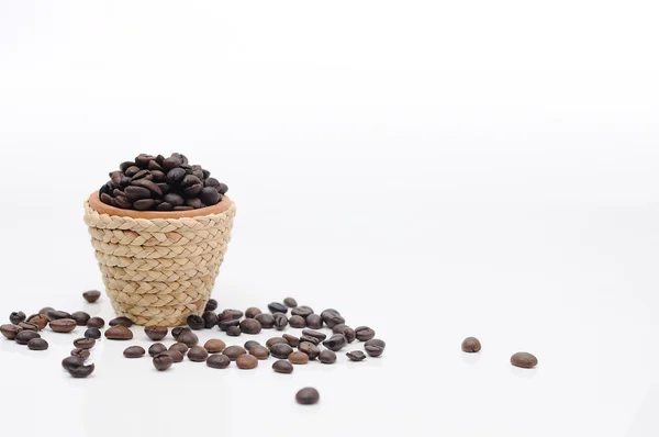 Pot with coffee seeds — Stock Photo, Image