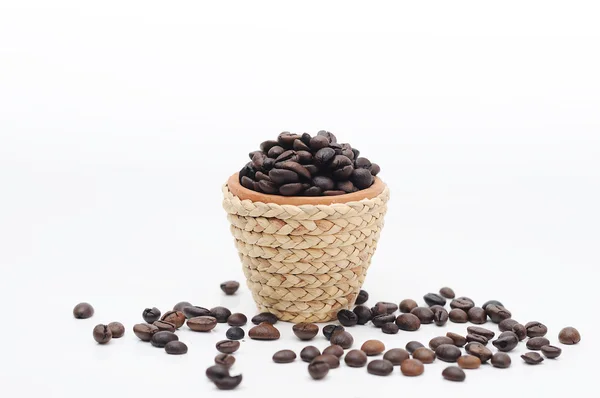 Pot with coffee seeds — Stock Photo, Image