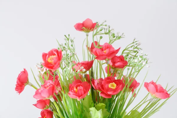 Rote Blumen im weißen Blumentopf — Stockfoto