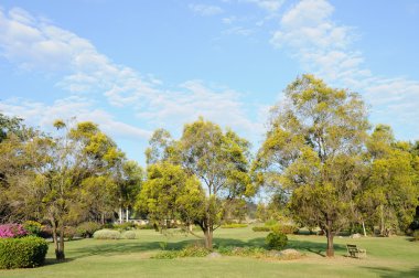 Genel bahçesinde ağaçlar