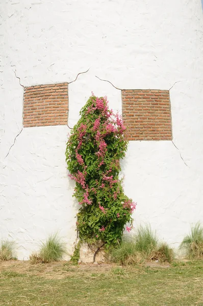 ピンクの花が付いている薮 — ストック写真