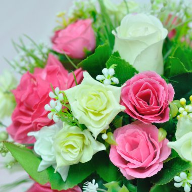 Güzel çiçekler kapanıyor.