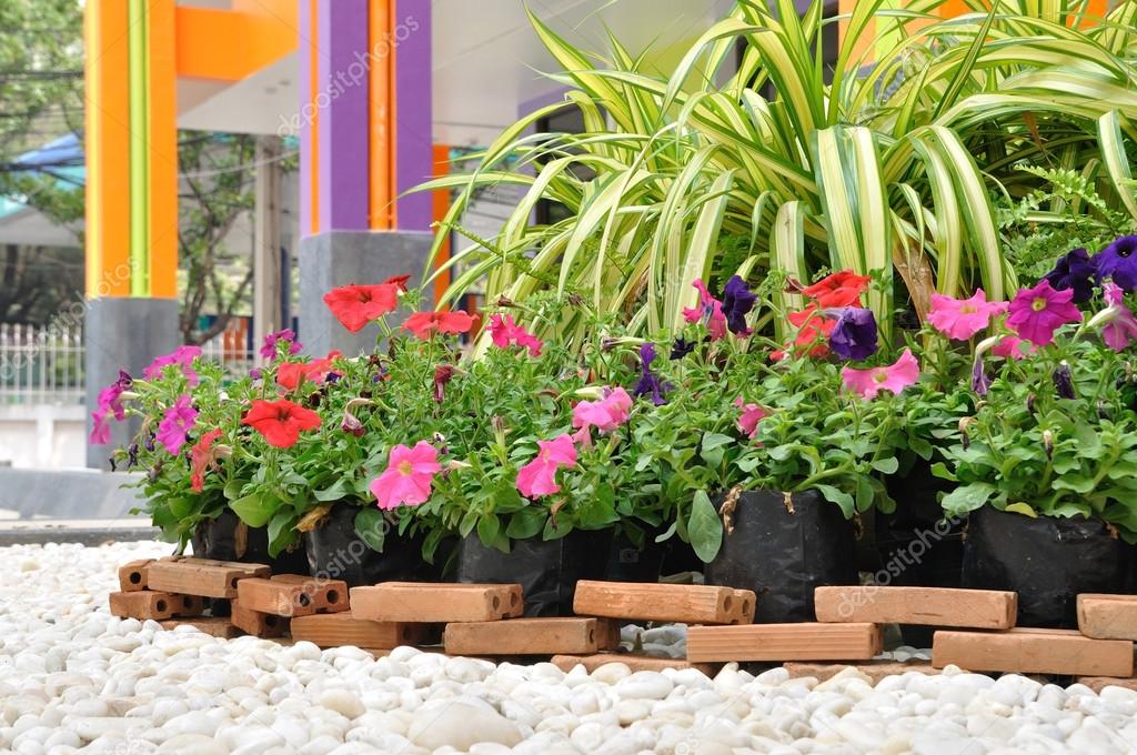 Decoración del jardín con flores y rock — Foto de stock © ekarina #68941793